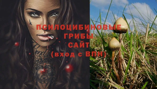 mix Медногорск