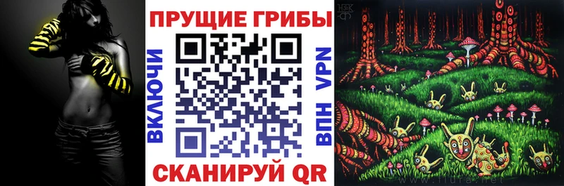 Галлюциногенные грибы Psilocybine cubensis Эртиль
