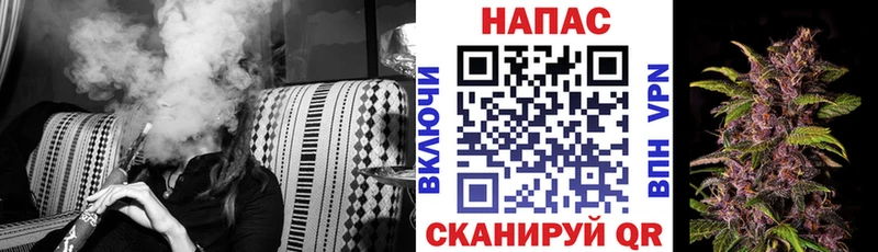 блэк спрут онион  где можно купить   Эртиль  Шишки марихуана VHQ 